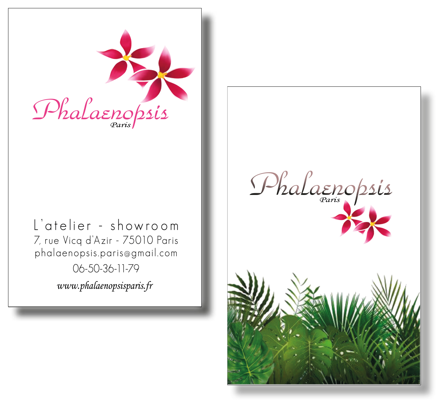 carte de visite Phalaenopsis carte de visite