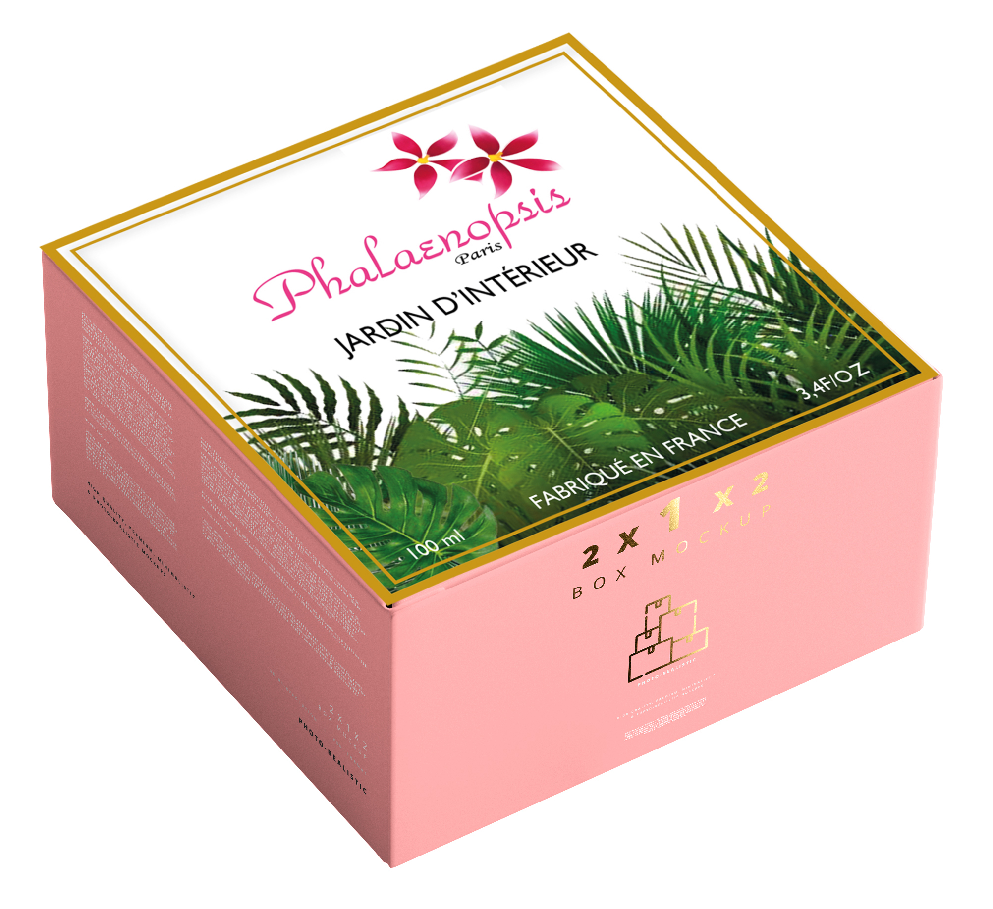 packaging phalaenopsis