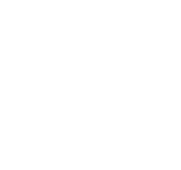 icone web