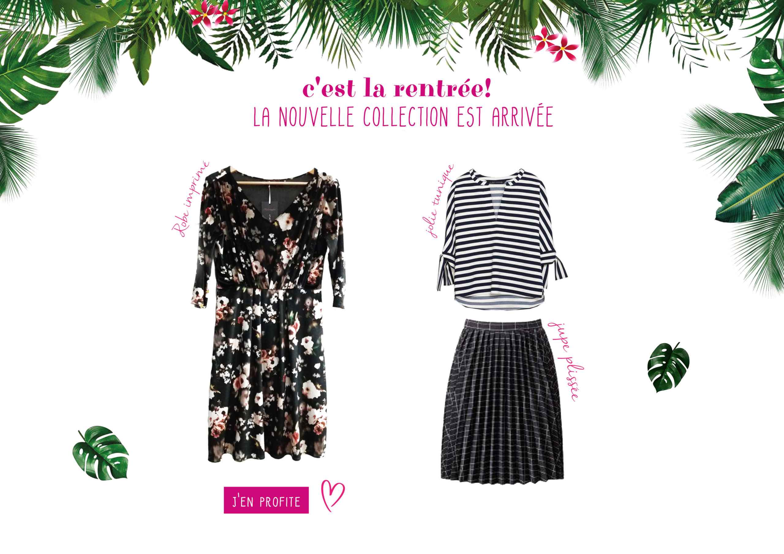 page web phalaenopsis robe jupe