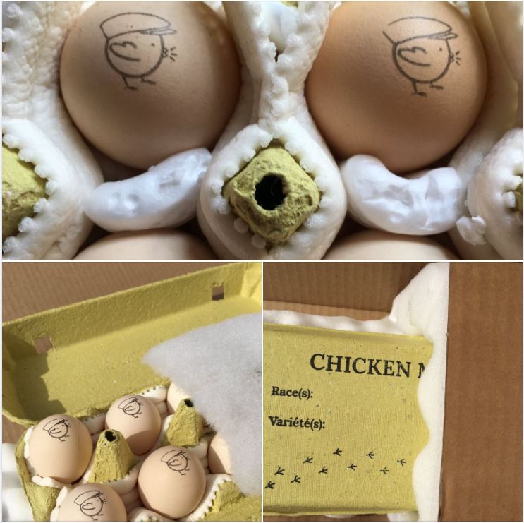 Boite oeufs carton Boite oeufs carton jaune