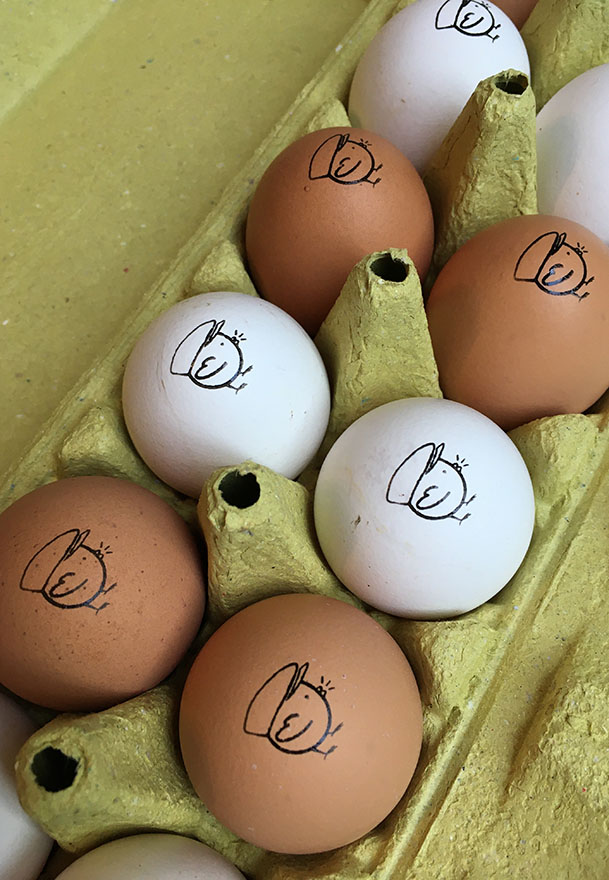 logo-oeufs Logo tampo Chicken Man