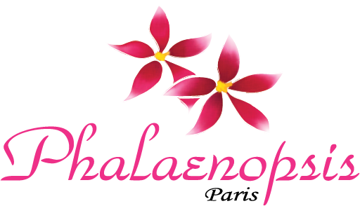logo phalaenopsis